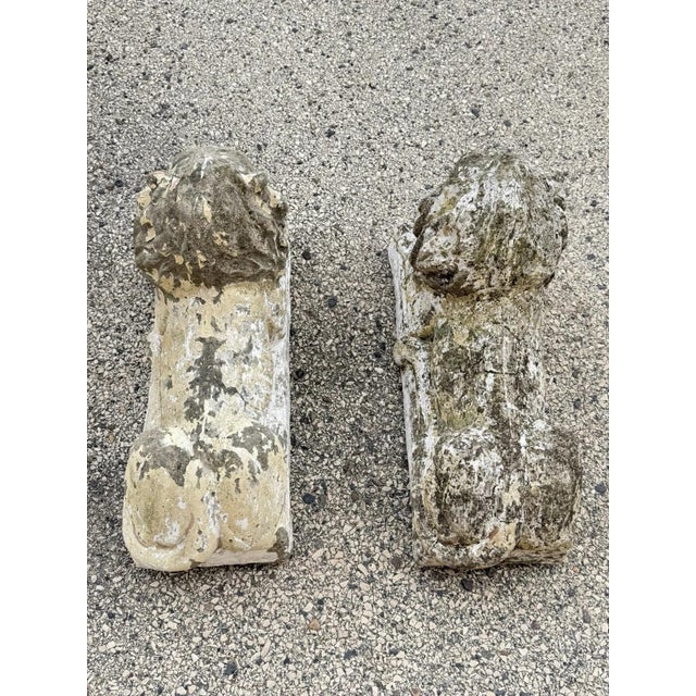 Vintage Classical Style Cast Cement Concrete Guardian Entry Lions - Pair For Sale - Image 13 of 16