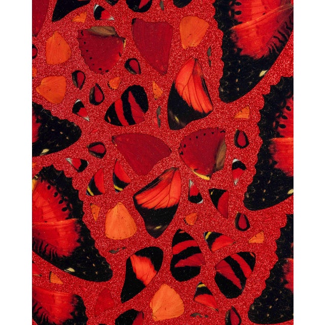 Metal Damien Hirst "Taytu Betul" Giclee Print, 2022 For Sale - Image 7 of 10