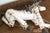 White Vintage Wooden Horse Marionette Puppet For Sale - Image 8 of 8