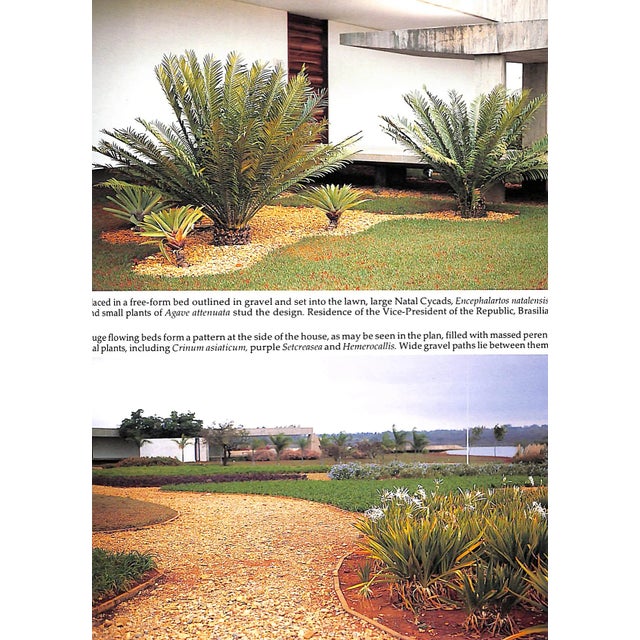 "The Gardens of Roberto Burle Marx" 1995 Eliovson. Sima For Sale - Image 9 of 10