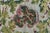Antique Bessarabian Botanical Rug Doris Leslie Blau For Sale - Image 9 of 10
