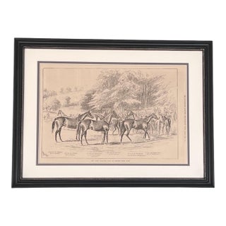 Framed English Horse Print- Authentic 1878 News Print For Sale