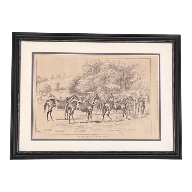 Framed English Horse Print- Authentic 1878 News Print For Sale