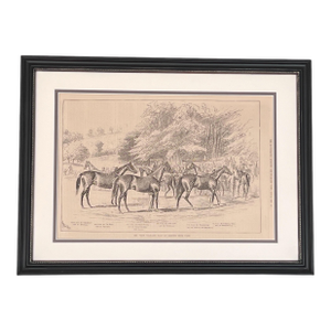 Framed English Horse Print- Authentic 1878 News Print