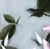 This oil on panel artwork presents a delicate arrangement of leaves and petals, suspended against a soft gray background....