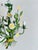 Metal Italian Painted Tole Daisy Chandelier by Sergio Terzani, 1970s For Sale - Image 7 of 15