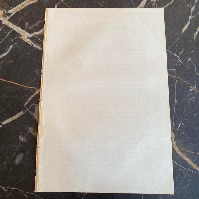 French Antique 18th Century Bird Engraving Hand Colored Signed Artwork For Sale - Image 4 of 4