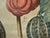 Antique Hand-Colored Engraving — Tomato & Melon Botanical Print After Basilius Besler, Framed For Sale - Image 10 of 18