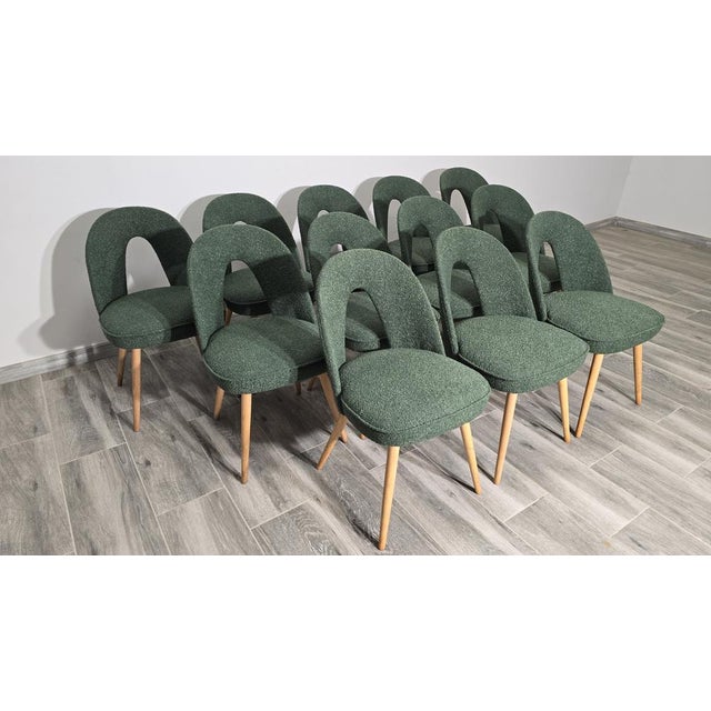 Vintage Dining Chairs by Antonin Suman, 1960s, Set of 12 For Sale - Image 6 of 10