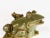Large Italian Ceramic Frog, 1960s For Sale - Image 4 of 10