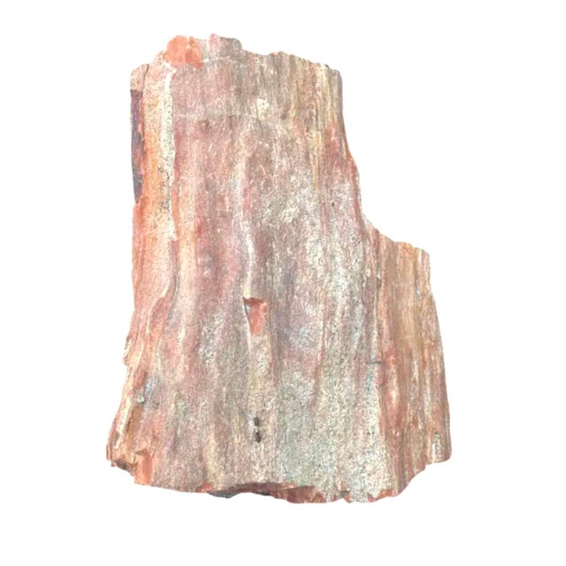 A substantial specimen of Petrified Wood that captures the quiet drama of a deep geological time. Weighing in at an 11.5...