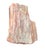 A substantial specimen of Petrified Wood that captures the quiet drama of a deep geological time. Weighing in at an 11.5...