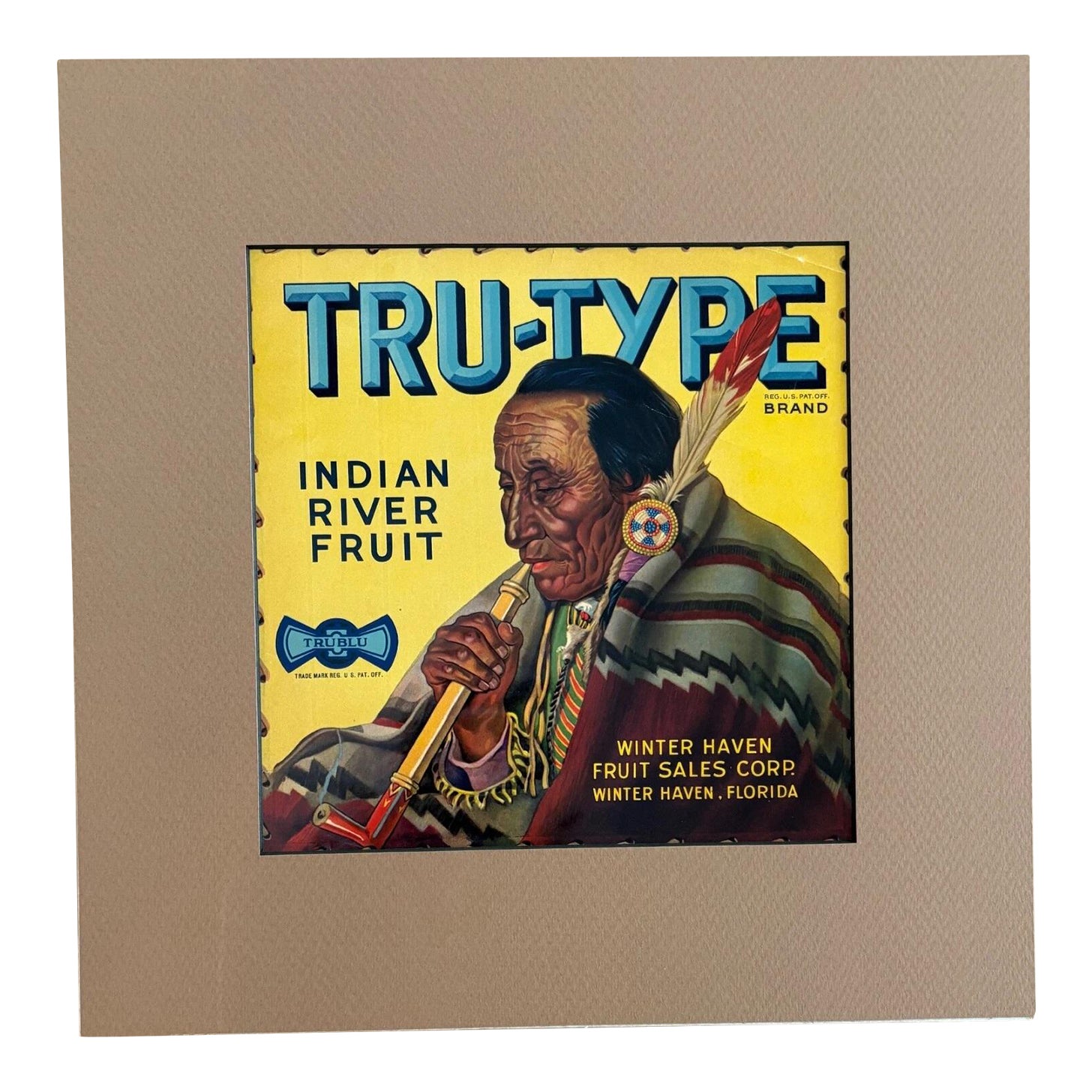 Original Vintage TRU- TYPE Fla. Fruit Crate Label, Native American ...
