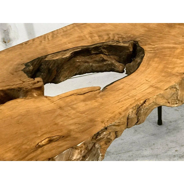 Modern Mid-Century French Raw Wood Coffee or Side Table on Compass Legs, 1950s For Sale - Image 3 of 13