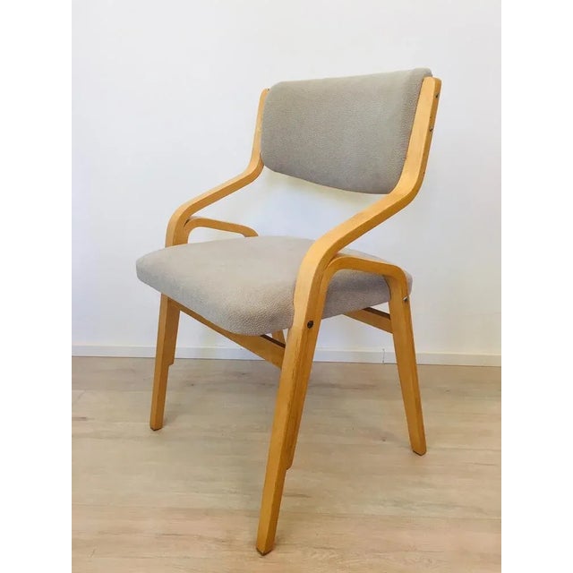 Set of Chairs by Ludwig Volak for Drevopodnik Holesov For Sale - Image 9 of 13