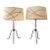 Mid Century Modern Metal Table Lamps With Original Shades Sculptural Iron Base - A Pair For Sale