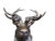 Large Bronze Stag, 20th-Century For Sale - Image 5 of 9