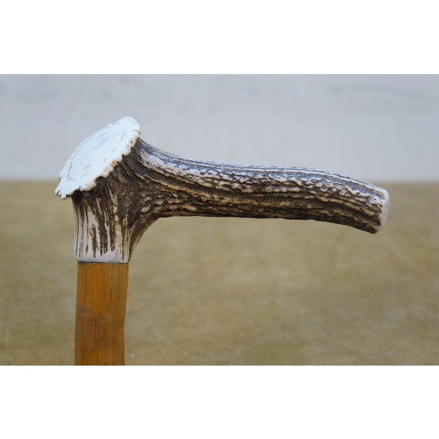 Vintage Wooden Elk Stag Horn Antler Handle Walking Stick Cane For Sale - Image 6 of 12