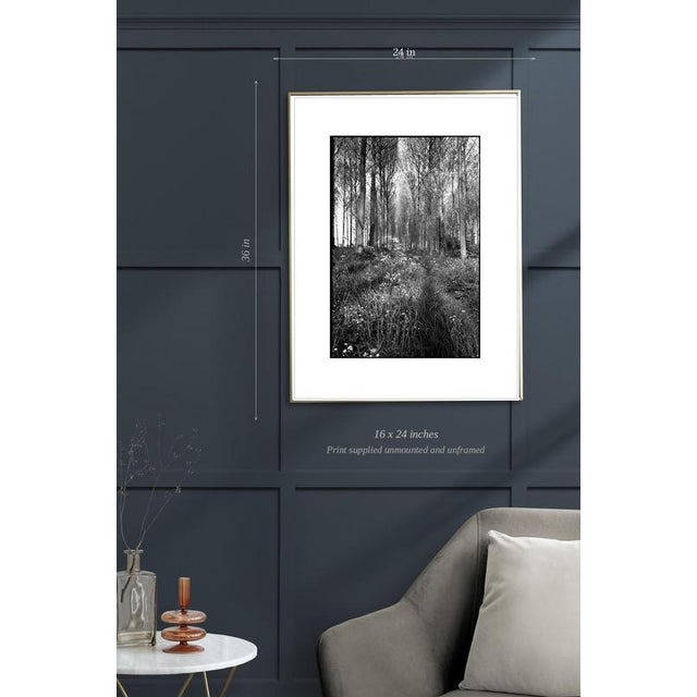 Contemporary Paul Cooklin, Wickham Skeith, Edition of 50 For Sale - Image 3 of 5