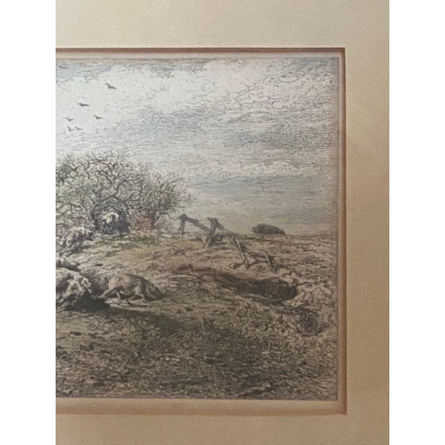 19th Century Framed 19th-Century Pastoral Landscape Etching of Sheep and a Shepherd. For Sale - Image 5 of 10
