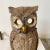 Antique Owl Fireplace Andirons Cast Iron Early 20th Century a Pair For Sale - Image 4 of 13