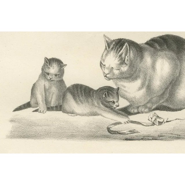 19th-Century Lithograph of Domestic Cats in Playful and Nurturing Scenes --- : This charming 19th-century lithograph...