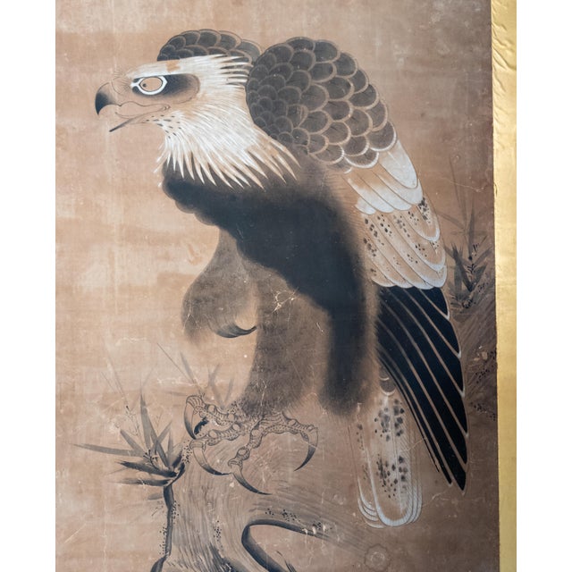 Japanese 18th Century Japanese Edo Period Kano School Watercolor Painting of a Hawk For Sale - Image 3 of 15