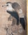 Japanese 18th Century Japanese Edo Period Kano School Watercolor Painting of a Hawk For Sale - Image 3 of 15