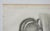 Antique mid 19th century lithograph on paper of squirrel book plate. Published by the US Pacific Railroad Exploration and...