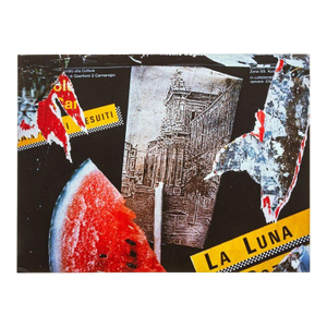 Anne Sager Digital Photography Collage C-Print