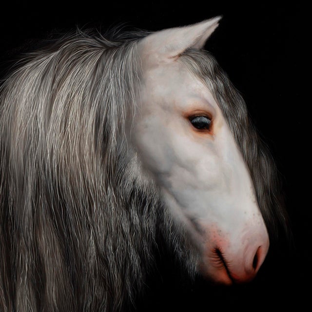 This artwork presents a striking depiction of a white horse, its flowing mane rendered with meticulous detail against a...