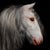 This artwork presents a striking depiction of a white horse, its flowing mane rendered with meticulous detail against a...