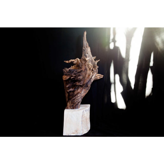 Wabi Sabi Root Wood Sculpture For Sale - Image 10 of 13