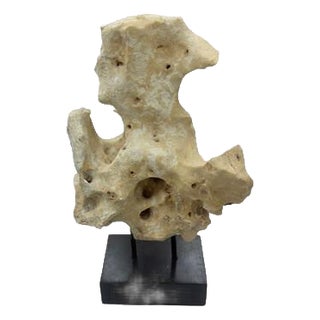 Indonesian Coral Stone On Teak Stand For Sale