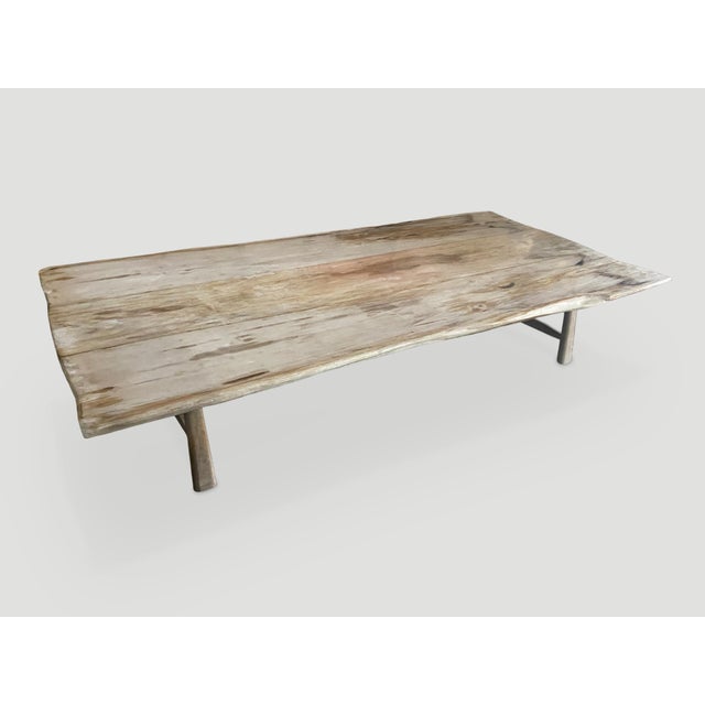 2010s Andrianna Shamaris Live Edge Petrified Wood Coffee Table or Dining Table For Sale - Image 5 of 5
