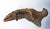 Irish Setter Bronze Dog Sculpture For Sale In Rochester - Image 6 of 7