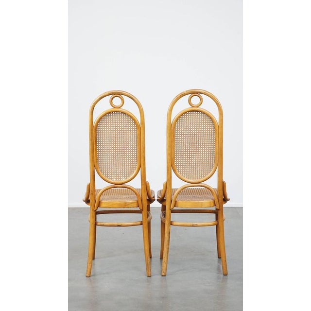 Set of Vintage Bentwood Chairs For Sale - Image 3 of 13