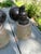 Antique Brass Sconces With Vintage Glass Shades - Set of Three For Sale In New York - Image 6 of 7