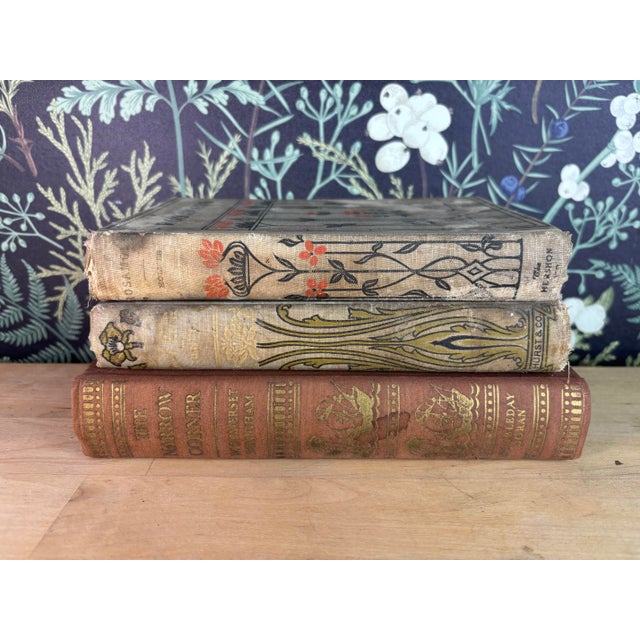 Includes decorative turn-of-the-century novels such as The Lost Heir and Rosamond, plus a coordinating clothbound volume...