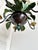 French Country Tole Botanical Five-Light Chandelier with Cattails and Flowers, 1960s For Sale - Image 11 of 17