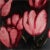 This artwork titled, Flower, 1990 is a color silkscreen and lithograph on Arches 88 paper, by artist Donald Sultan...