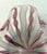 Mid-Century Modern Zanfirico Murano Bowl For Sale - Image 3 of 6