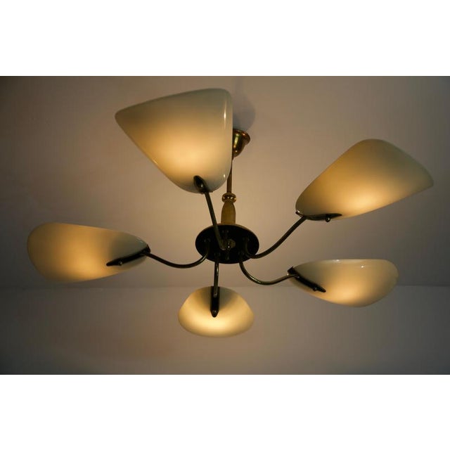 Mid-Century Italian Brass 5-Arm Sputnik Chandelier, Germany, 1950s For Sale - Image 4 of 15