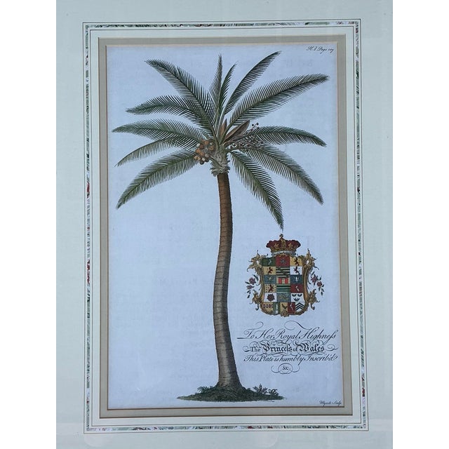 Vintage Crested Palm Etchings - A Pair For Sale - Image 12 of 12