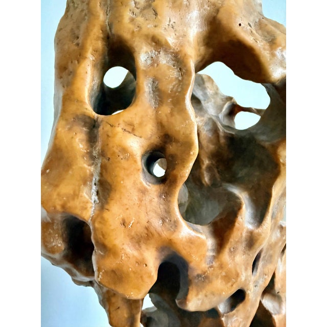 Tall Elegant Chinese Scholar Rock Yellow Taihu Stone on Wood Stand For Sale In Atlanta - Image 6 of 18