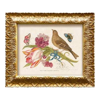 Reproduction Vintage Birds and Butterflies Art Print (Bird#3), Framed For Sale