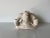 Vintage Handmade Monkey - Shape Pottery Candle Holder For Sale - Image 9 of 12