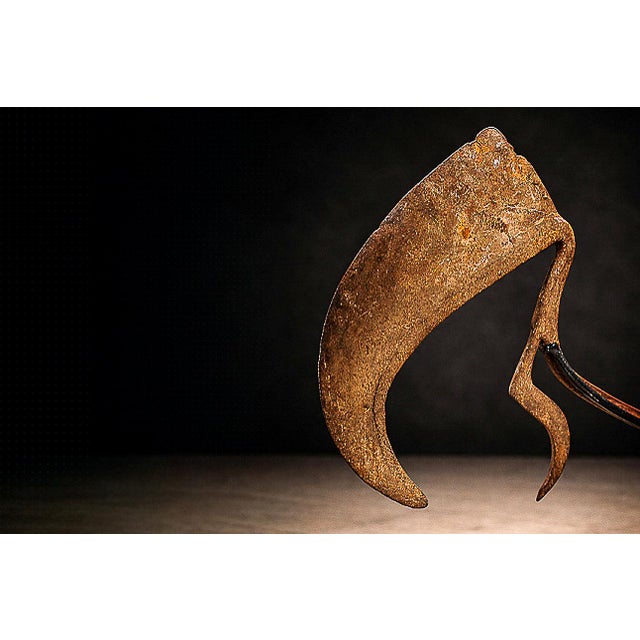 19th Century African Throwing Knife Currency — Marghi / Mofu, Northeastern Nigeria & Cameroon For Sale - Image 10 of 13