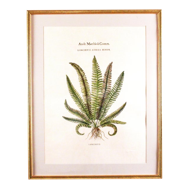 Original Vintage Custom Botanical Fern Prints with Makers Stamp For Sale