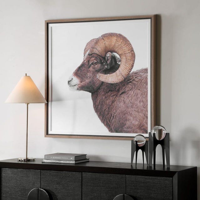 Not Yet Made - Made To Order Big Horn Ram - Framed Print For Sale - Image 5 of 9